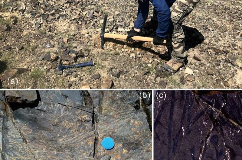 Silurian Freshwater Arthropod Discovered from Xinjiang