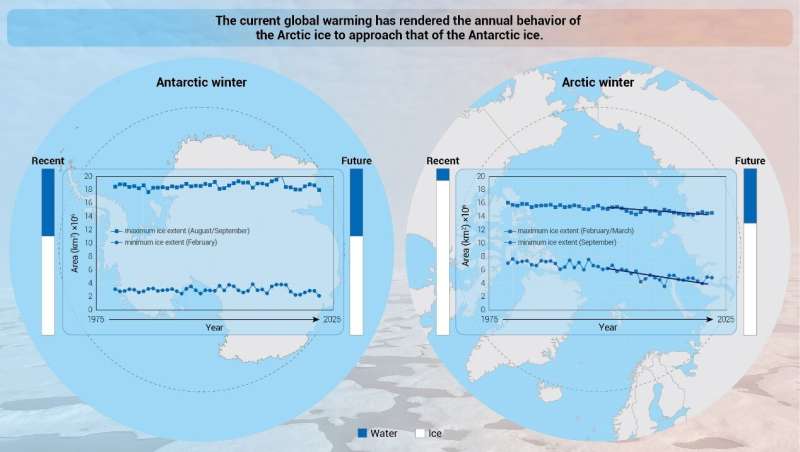 Similar but different: Antarctic and Arctic sea ice and their responses to climate change