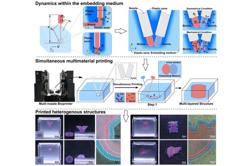 Simultaneous multi-material embedded printing for 3D heterogeneous structures