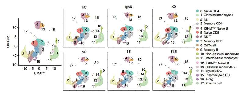 Single-cell RNA-sequencing analysis reveals immune cell heterogeneity in five autoimmune diseases