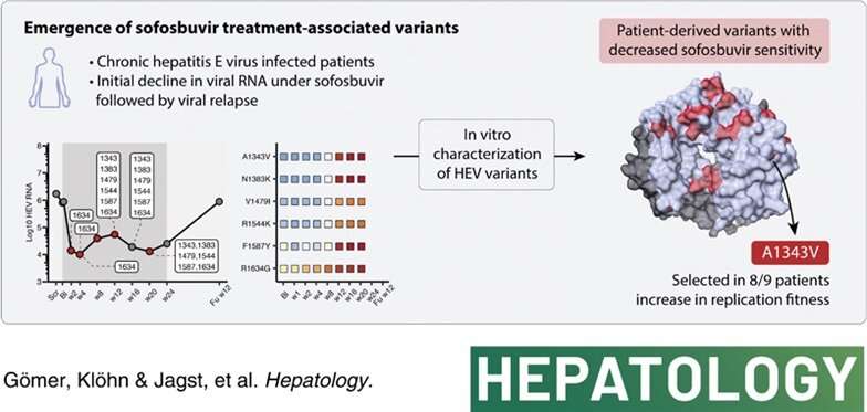 Single hepatitis E mutation renders sofosbuvir therapy ineffective