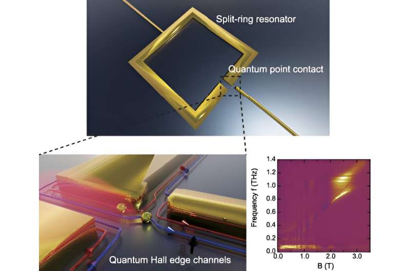 Single nanoscale hybrid system for studying the vacuum fluctuation field