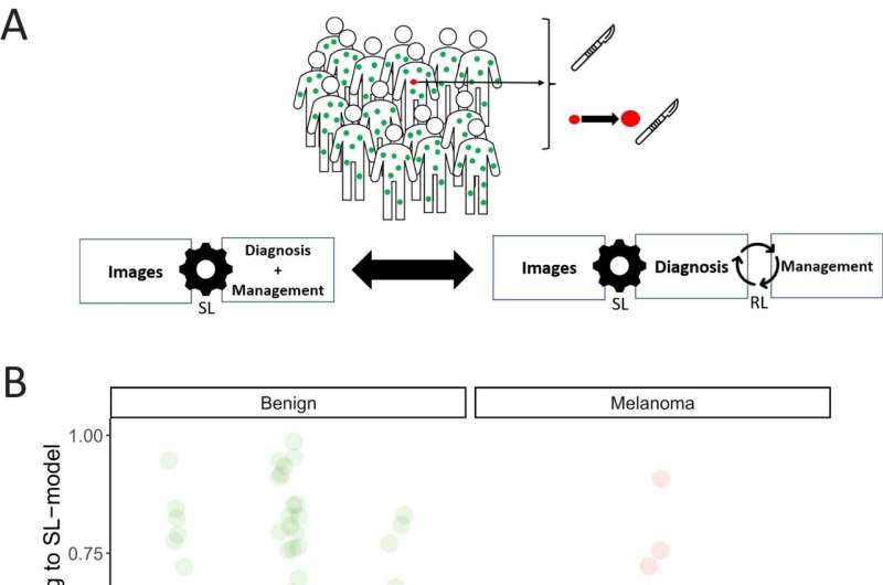 Skin cancer diagnosis: reinforcement learning for improved performance of artificial intelligence explored