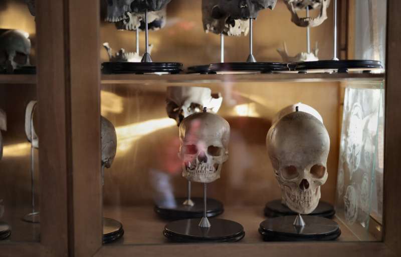 skulls museum