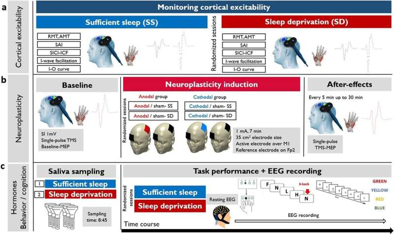 Sleep deprivation affects cognitive performance