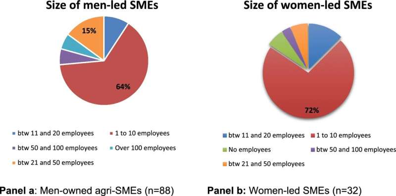 Smallest agri-SMEs in Africa owner-managed by women bore the brunt of COVID-19, new study reveals