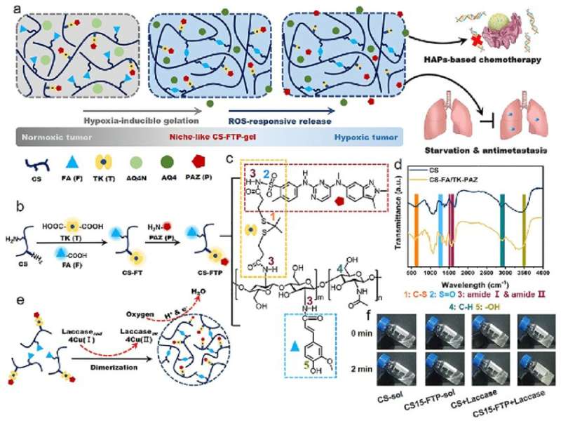 Smart hydrogel with oxygen-scavenging capability inhibits tumor growth and metastasis