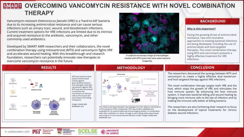 SMART researchers develop novel combination bacterium- and host-targeted therapy for treating vancomycin-resistant bacte