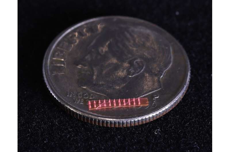 SMART researchers develop the world's first microneedle-based drug delivery technique for plants