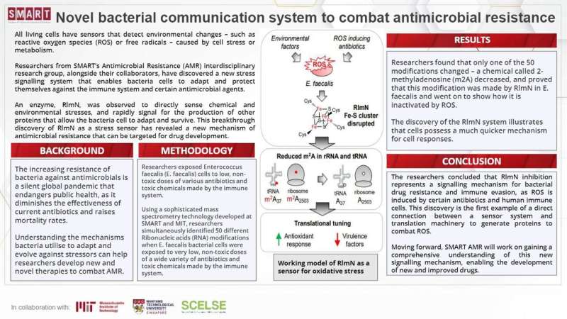 SMART researchers reveal new bacterial communication system to fight antimicrobial resistance