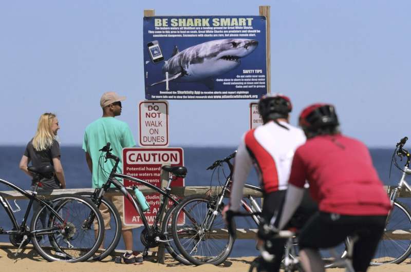 'Smartphones' for sharks: Scientists upgrade sensors to keep track of Cape Cod's white sharks