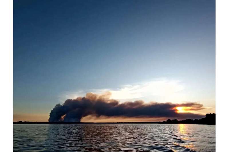 Smoke rising from a forest plantation in Ituzaingo in Argentina's Corrientes province