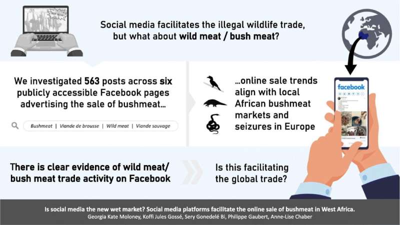 Social media fueling risky bushmeat sales, study finds