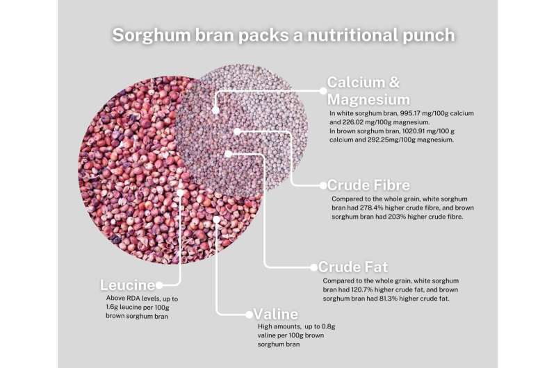 Sorghum bran packs bigger punch than whole grain