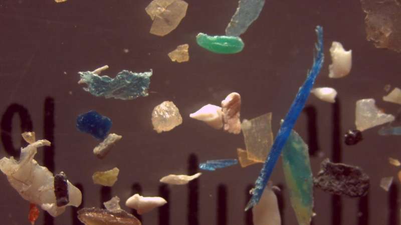 Sounding the alarm on microplastic pollution