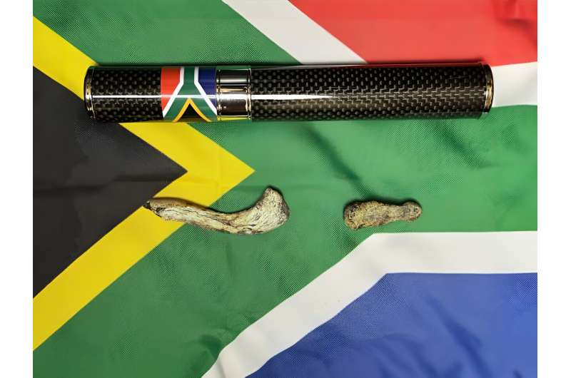 South African hominin fossils were sent into space and scientists are enraged