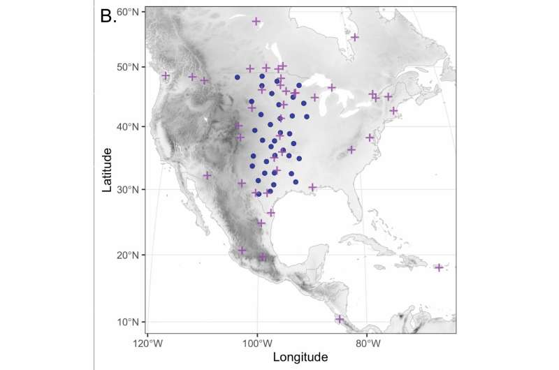 Space weather disrupts nocturnal bird migration, study finds