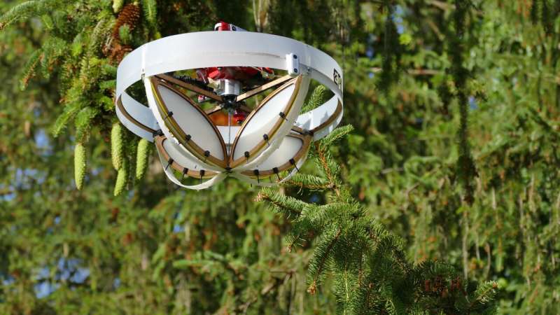Un drone spécial recueille l'ADN environnemental des arbres