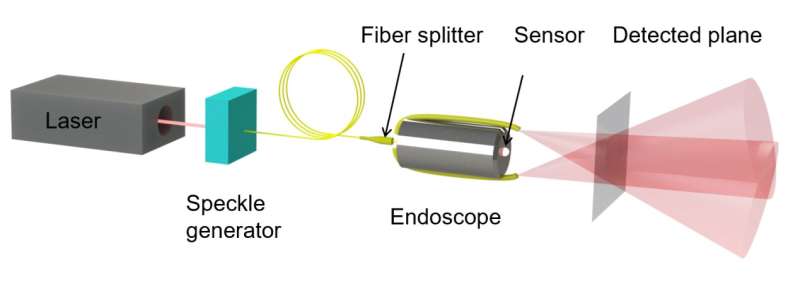 Speckle structured illumination endoscopy