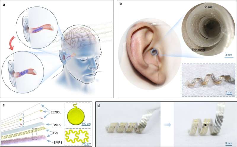 Spiral brain-computer interface slips into ear canal with no loss of hearing