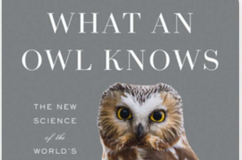 Spooky, stealthy night hunters: revealing the wonderful otherworld of owls