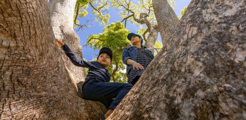 Stand back and avoid saying 'be careful!': how to help your child take risks at the park