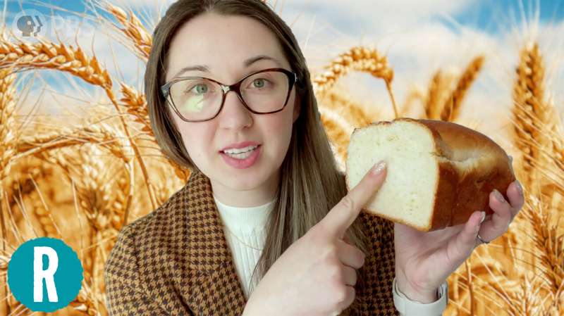 Starch gelatinization, retrogradation, and the world's fluffiest white bread (video)