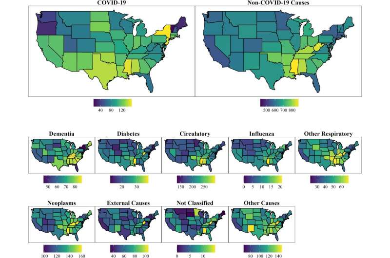 States with high COVID-19 death rates also saw high mortality from other causes