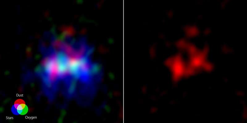 Stellar cradles and graves observed in farthest galaxy ever