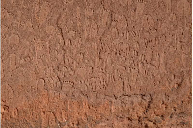 Stone age artists carved detailed human and animal tracks in rock art in Namibia