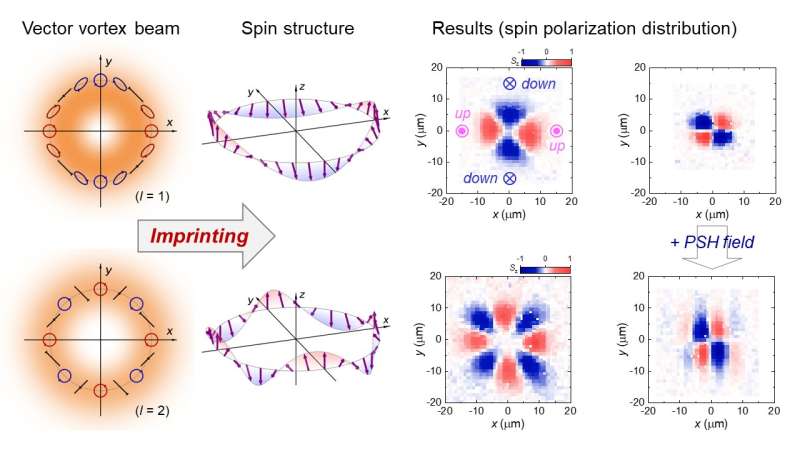 Storing information with spins: Creating new structured spin states with spatially structured polarized light