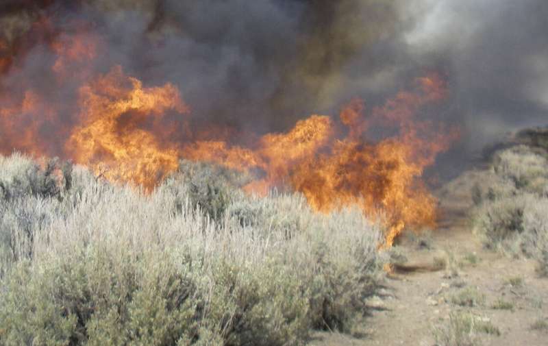 Strange burn: new research identifies unique patterns in Utah wildfires