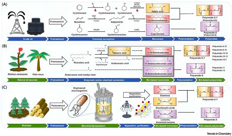 Strategies for environmentally friendly and sustainable polyamides production