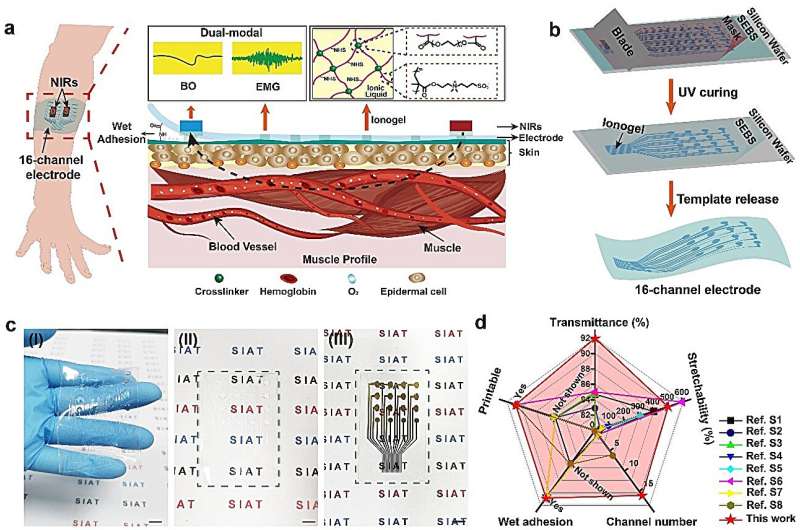Stretchable multi-channel ionotronic electrodes developed for in-situ dual-modal monitoring of muscle-vascular activity