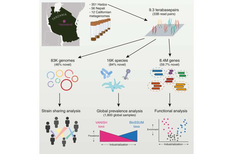 Striking level of genomic novelty found in Hadza microbiome