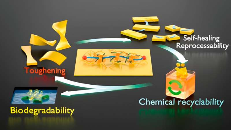 Stronger, stretchier, self-healing plastic