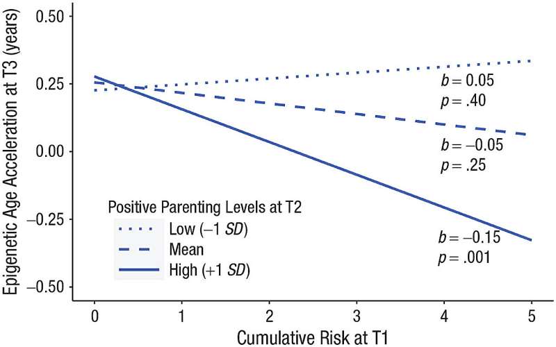 Study: Adversity accelerates epigenetic aging in children with developmental delays, but positive parenting can reverse course