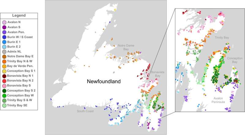 Study illustrates unique genetic landscape in Newfoundland and Labrador with links to Ireland and England