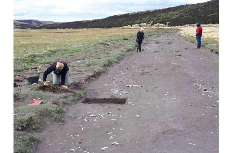 Study of remains uncovered in Argentina's Patagonian region from 1600 show locals raised and ate horses