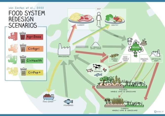 Study outlines scenarios leading toward a circular food system