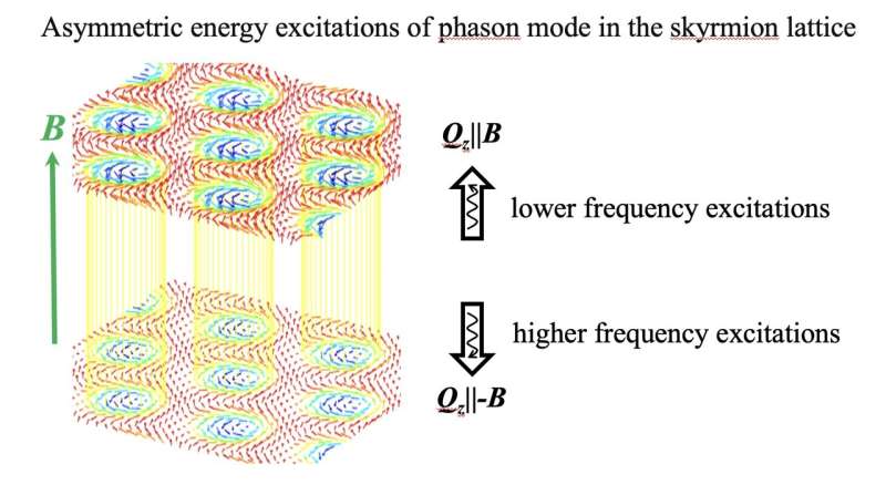 Study reveals an asymmetric dispersion of phason excitations in a skyrmion lattice  