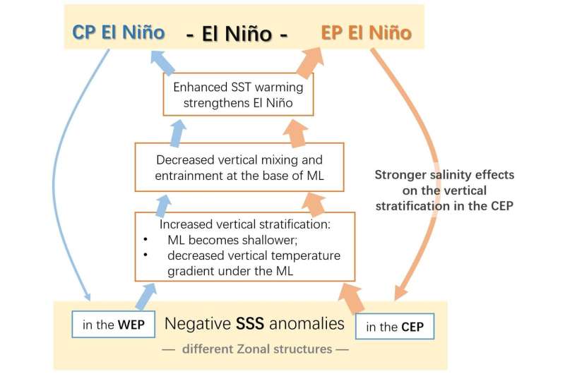 Estudio revela cómo la salinidad afecta la diversidad de El Niño