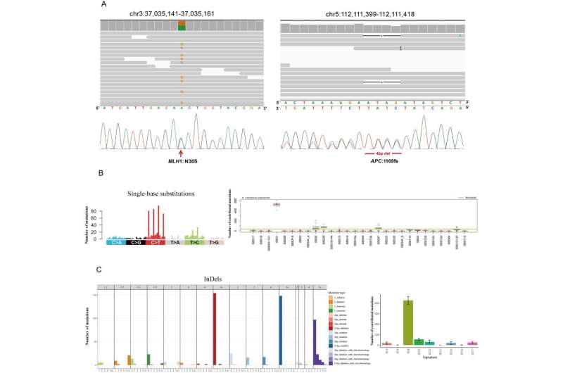 Study reveals somatic mutation profile of colorectal tumor with simultaneous APC and MLH1 germline mutations