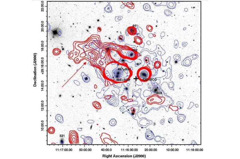 Study sheds more light on the diffuse radio emission from the galaxy cluster Abell 1213