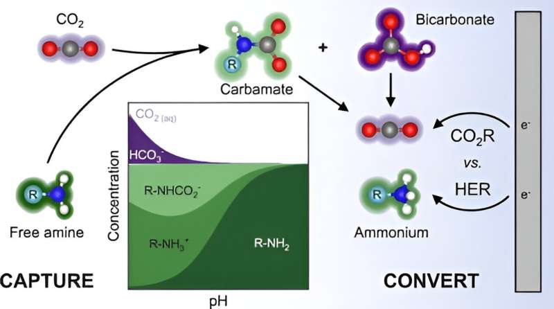 Study suggests energy-efficient route to capturing and converting CO2