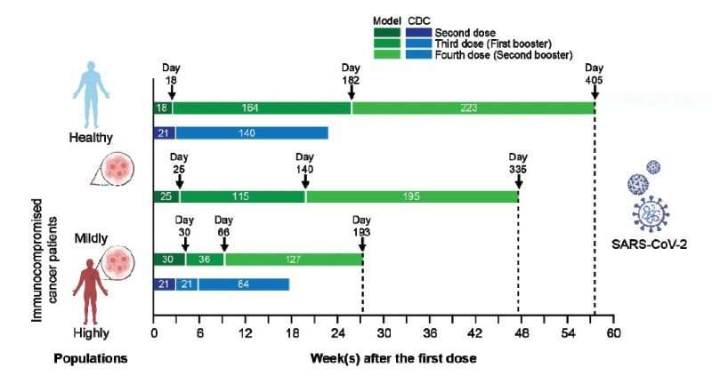 Study suggests longer time between COVID-19 vaccines more effective for some