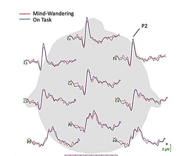Study suggests that the neural correlates of mind-wandering can vary across different tasks