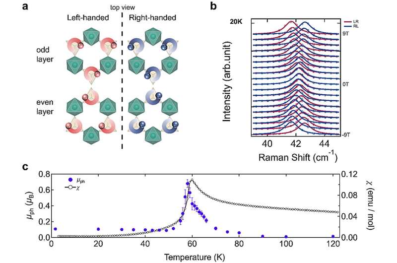 Study uncovers giant fluctuation-enhanced phonon magnetic moments in a polar antiferromagnet