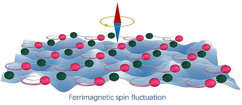 Study uncovers giant fluctuation-enhanced phonon magnetic moments in a polar antiferromagnet