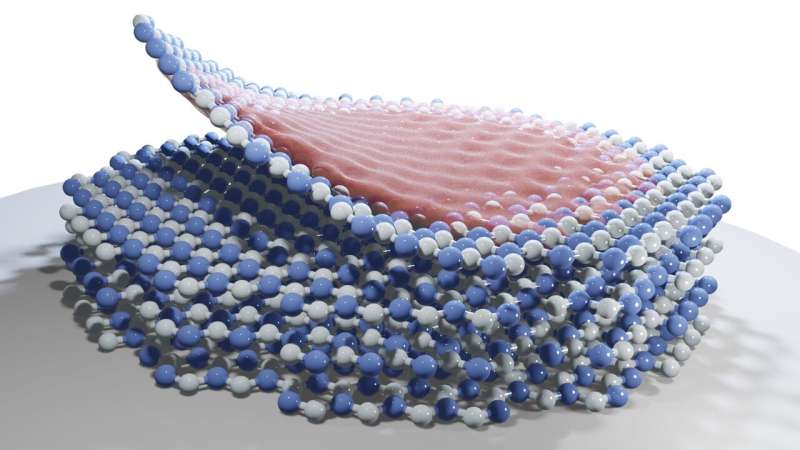 Study uncovers the fundamental mechanisms underlying the formation of polarons in 2D atomic crystals 